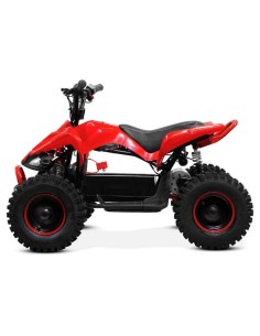 mini Quad NITRO PHYTON 1000w 36v R6 2