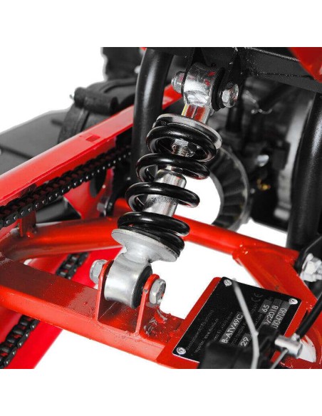 miniQuad DRAGON 49cc