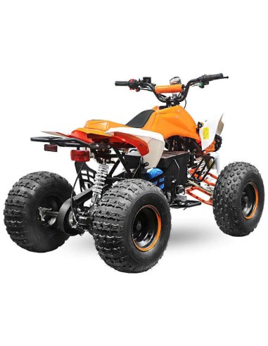 Quad NITRO SPEEDY 1000W 48V R8