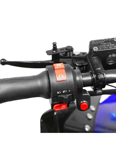 Quad NITRO SPEEDY 1000W 48V R8