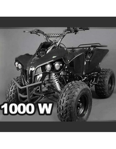 Quad NITRO WARRIOR 1000W 48V R8 XXL