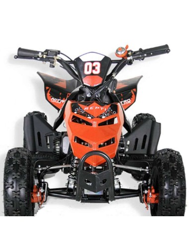 miniQuad NITRO REPTI 49cc R6
