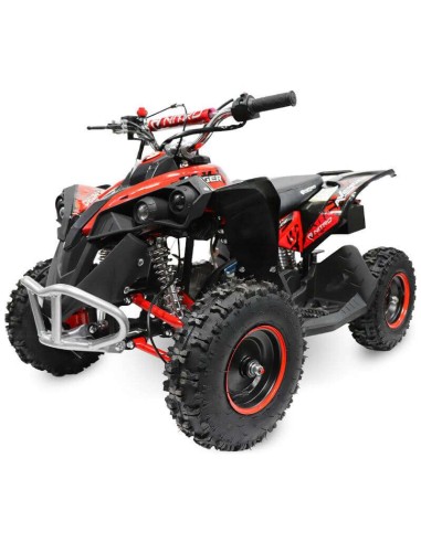 miniQuad AVENGER E-START 49cc R6