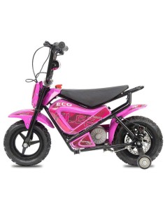 miniMoto ECO FLEET 250W 2