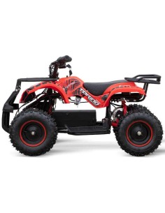 miniQuad TORINO 1000w 48v NITRO R6 2