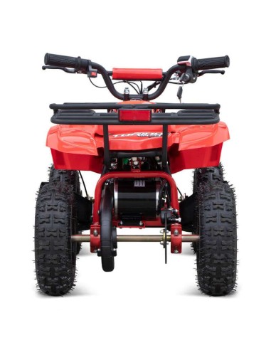 miniQuad TORINO 1000w 48v NITRO R6