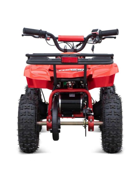 miniQuad TORINO 1000w 48v NITRO R6