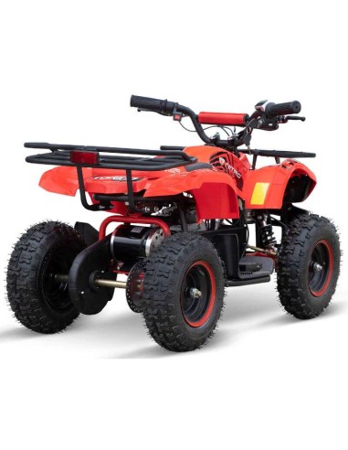 miniQuad TORINO 1000w 48v NITRO R6