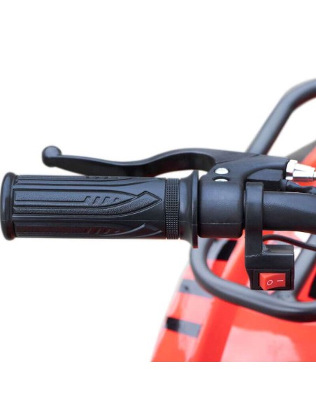 miniQuad TORINO 1000w 48v NITRO R6