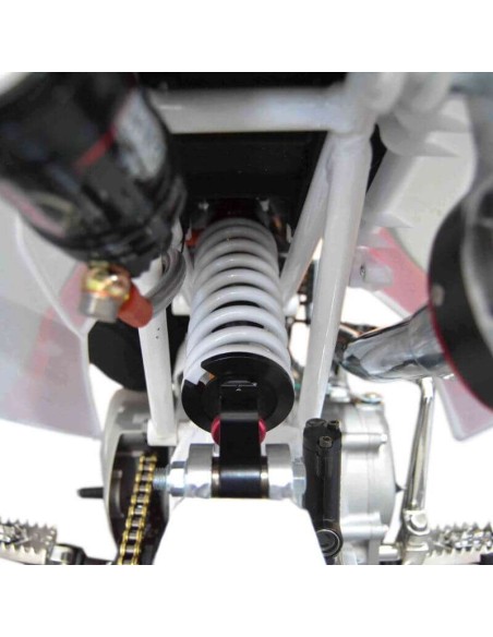 pitBike IMR CORSE 155 RR