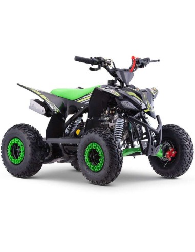 miniQuad ROAN RATTE 90CC R6