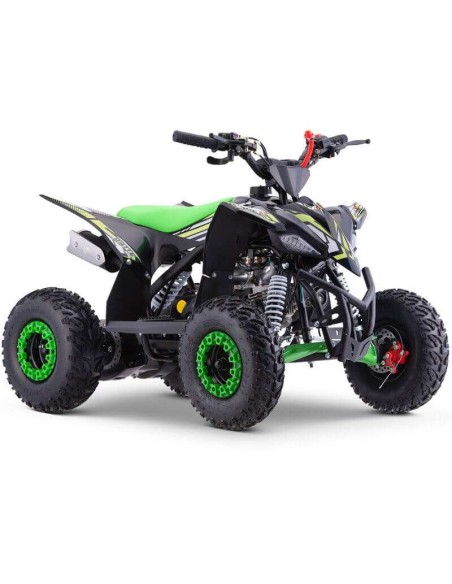 miniQuad ROAN RATTE 90CC R6