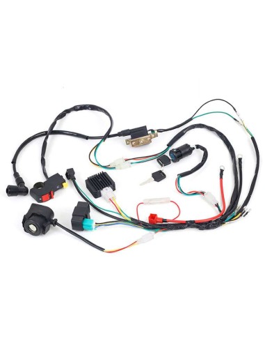 Cableado completo motor 110-125 pit bike