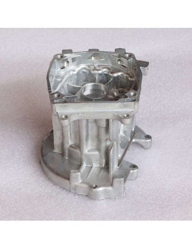 Carter minimoto 49cc tirador