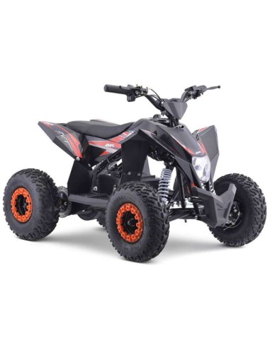 miniQuad electrico IMR WR 1300 Litio