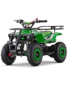 miniQuad NITRO DUSTY 49cc R6