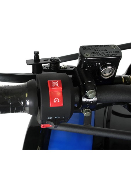 Quad NITRO TORONTO 1000W 48V R7