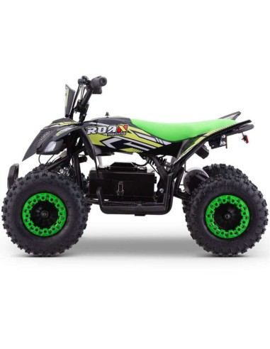 miniQuad ROAN RATTE 800W R6