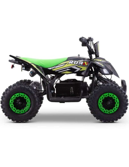 miniQuad ROAN RATTE 800W R6