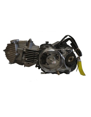 Motor 150cc YX-V1 Rotor