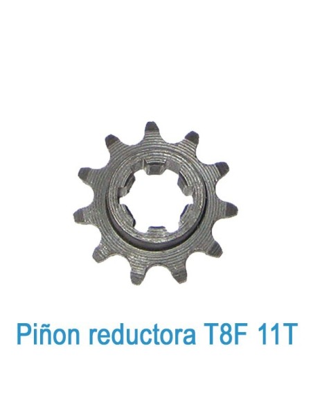 Piñón salida 11 dientes 14mm