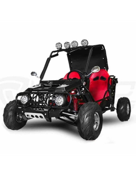 Buggy 125cc semi-auto R6