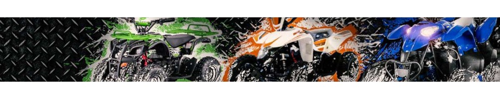 Mini Quad eléctrico niños y adultos