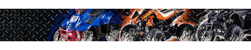 Quads para niños, jovenes y adultos con motor 4 tiempos